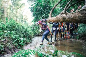 BIB: 
                            <button type="button" onclick="openModal(25471986)" class="btn btn-primary btn-sm float-right btn-popup" data-toggle="modal" data-target=".modal-high-quality">
                        <i class="fas fa-shopping-cart"></i> Add to Cart
                    </button>
                                            <button type="button" onclick="isThisMe(25471986, true)" class="btn btn-success btn-sm float-right btn-popup btn-isme hidden" data-toggle="tooltip" data-placement="bottom" title="นี่คือรูปของคุณใช่ไหม คลิกที่นี่เพื่อเอาเข้าอัลบั้ม">
                        <i class="fas fa-plus"></i> Add to album
                    </button>
                    <button type="button" onclick="isThisMe(25471986, false)" class="btn btn-warning btn-sm float-right btn-popup btn-isnotme hidden">
                        <i class="fas fa-ban"></i> Remove from album
                    </button>